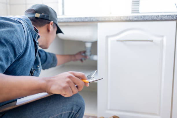Best Water Softener Installation  in Greensboro, GA